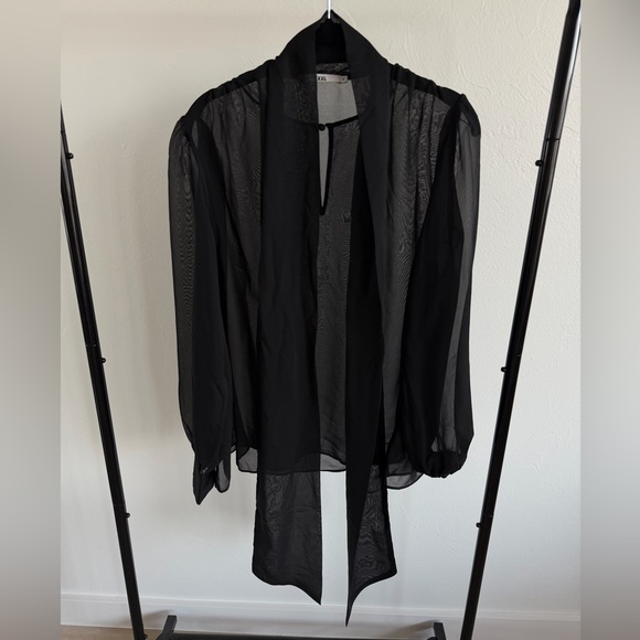 BOA - Sheer Chiffon Tie Neck Blouse - Picture 5 of 6